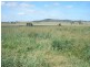 7123 Burnett Highway, Goomeri QLD 4601