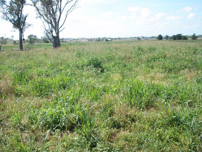 7123 Burnett Highway, Goomeri QLD 4601