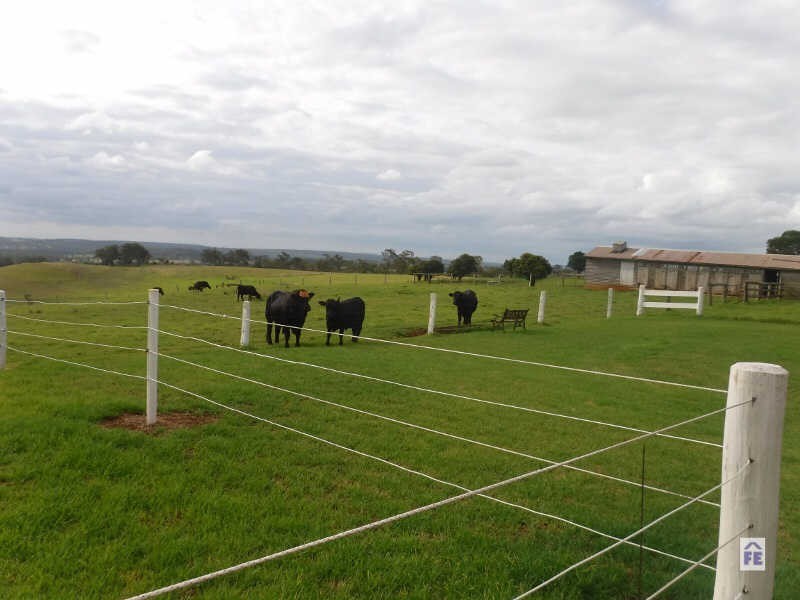 718 Reedy Creek Road, Benair QLD 4610