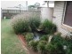 13 Wieden Street, Kingaroy QLD 4610