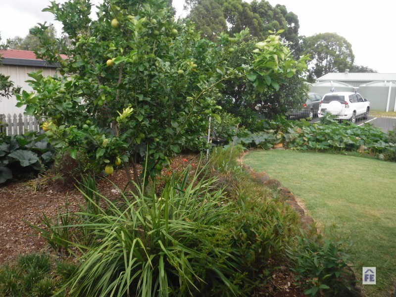 13 Wieden Street, Kingaroy QLD 4610