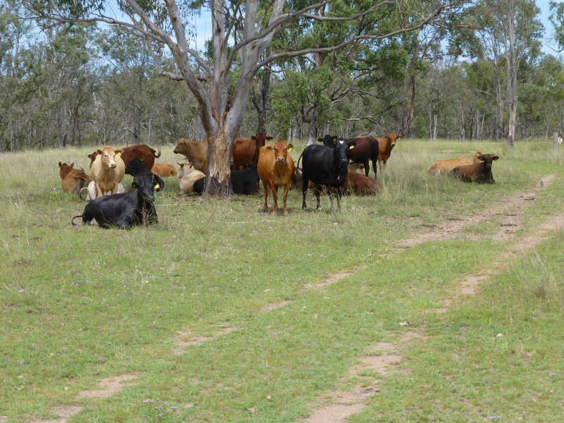 188 Wyuna Road, Gordonbrook QLD 4610