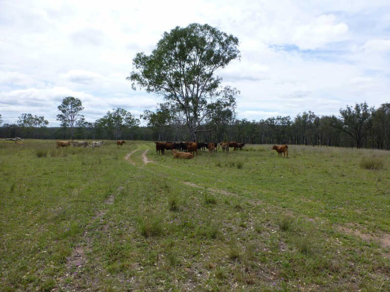 188 Wyuna Road, Gordonbrook QLD 4610