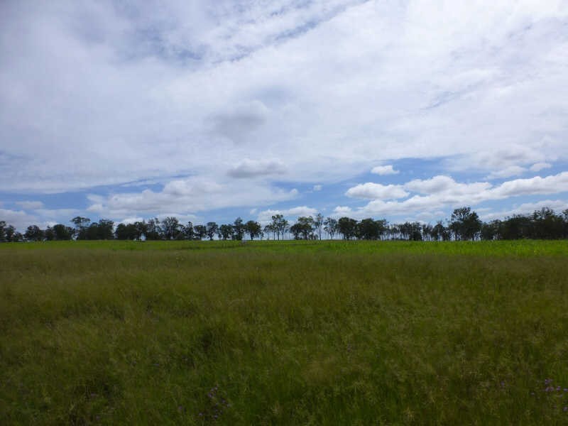 188 Wyuna Road, Gordonbrook QLD 4610