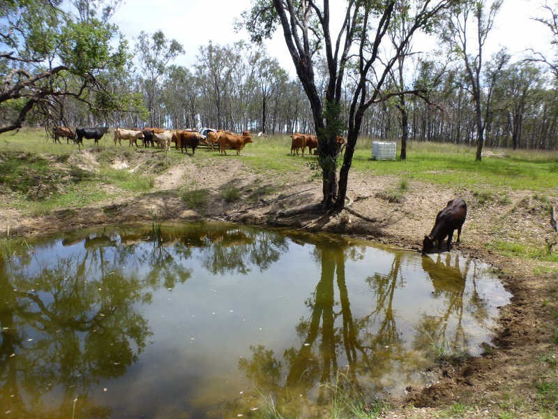 188 Wyuna Road, Gordonbrook QLD 4610