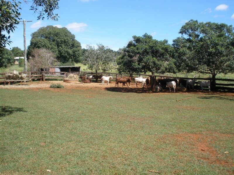 Lot 60 Etherington Road, Stonelands QLD 4612