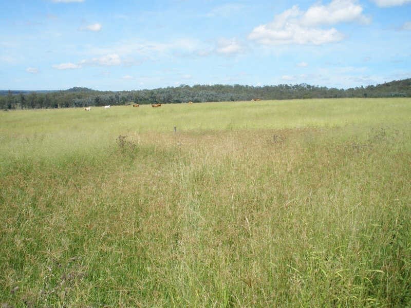 Lot 60 Etherington Road, Stonelands QLD 4612