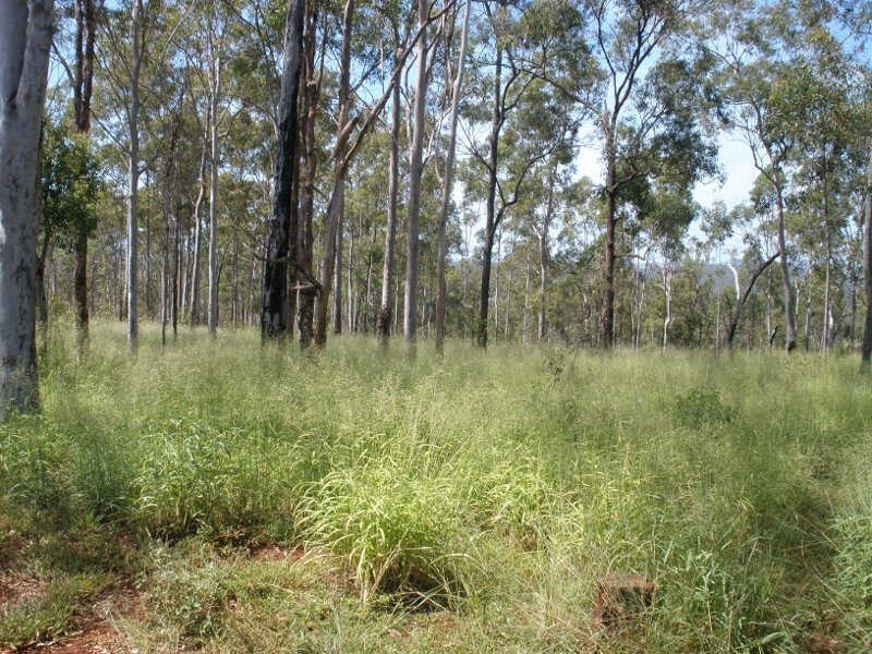 Lot 60 Etherington Road, Stonelands QLD 4612