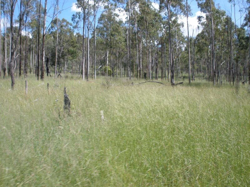 Lot 60 Etherington Road, Stonelands QLD 4612