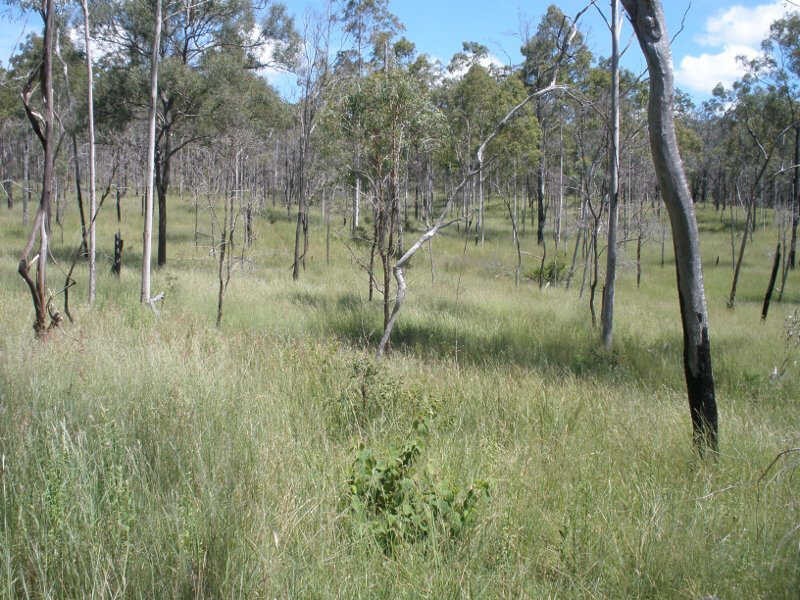 Lot 60 Etherington Road, Stonelands QLD 4612