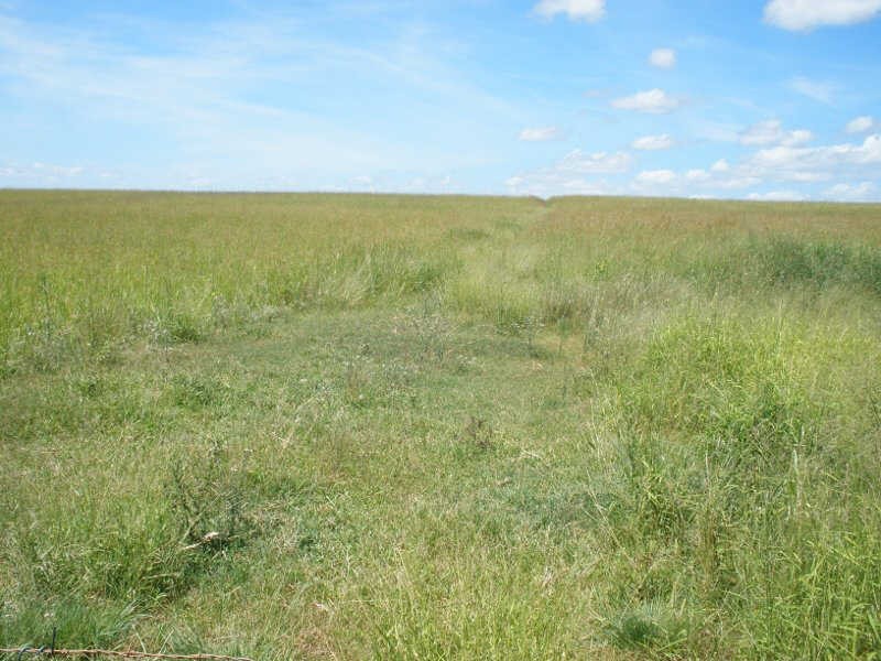 Lot 60 Etherington Road, Stonelands QLD 4612