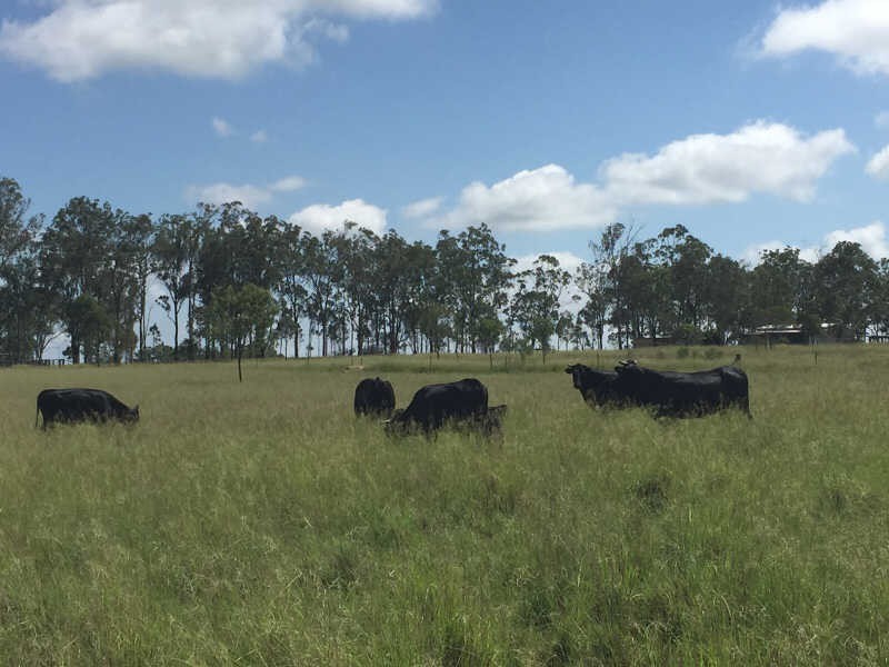 Lot 2 Wilsons Road, Gordonbrook QLD 4610