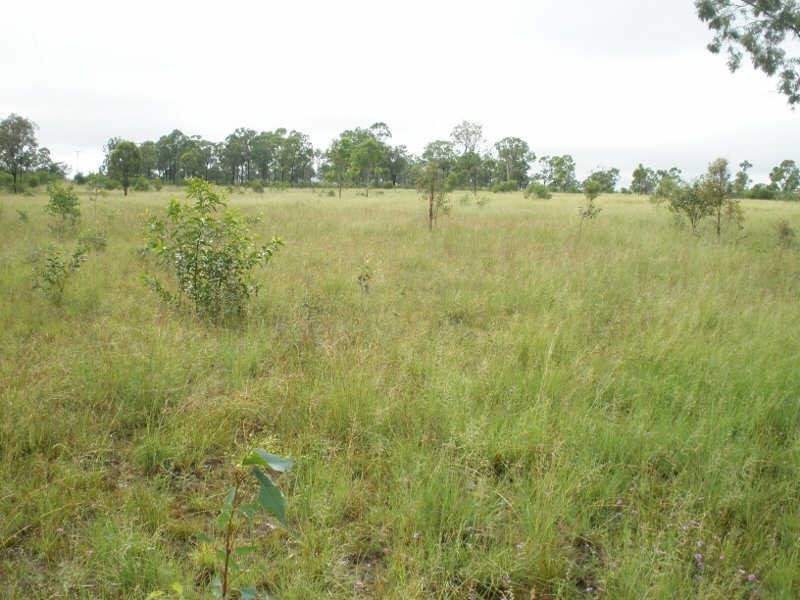 Lot 2 Wilsons Road, Gordonbrook QLD 4610