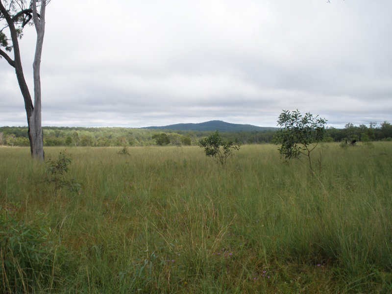 Lot 2 Wilsons Road, Gordonbrook QLD 4610