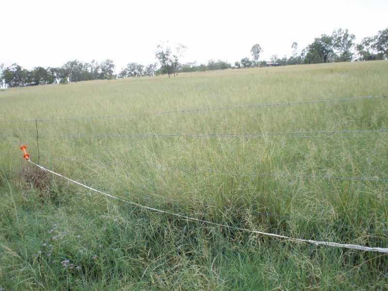 Lot 2 Wilsons Road, Gordonbrook QLD 4610