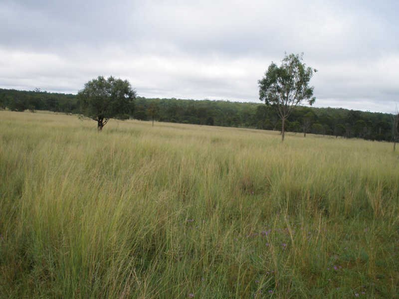 Lot 2 Wilsons Road, Gordonbrook QLD 4610