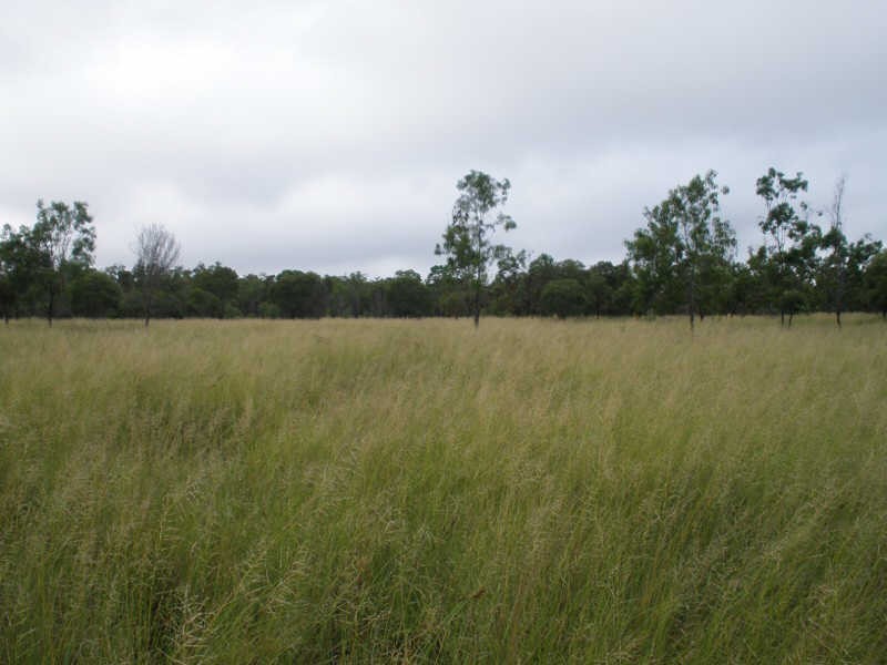 Lot 2 Wilsons Road, Gordonbrook QLD 4610