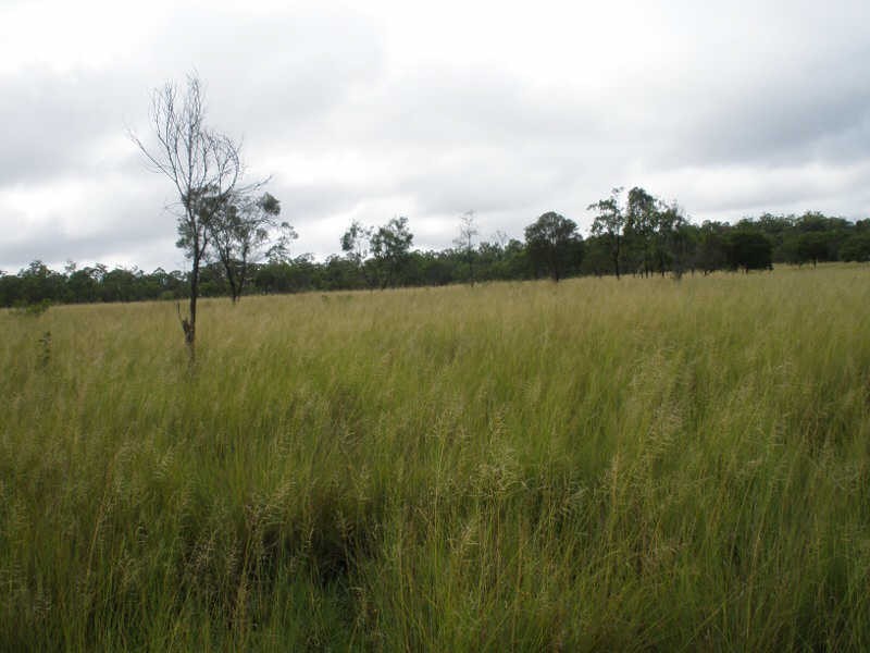 Lot 2 Wilsons Road, Gordonbrook QLD 4610