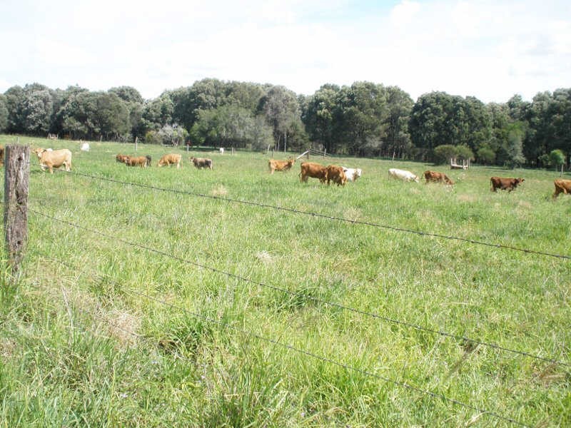 158 Eisenmengers Road, Merlwood QLD 4605