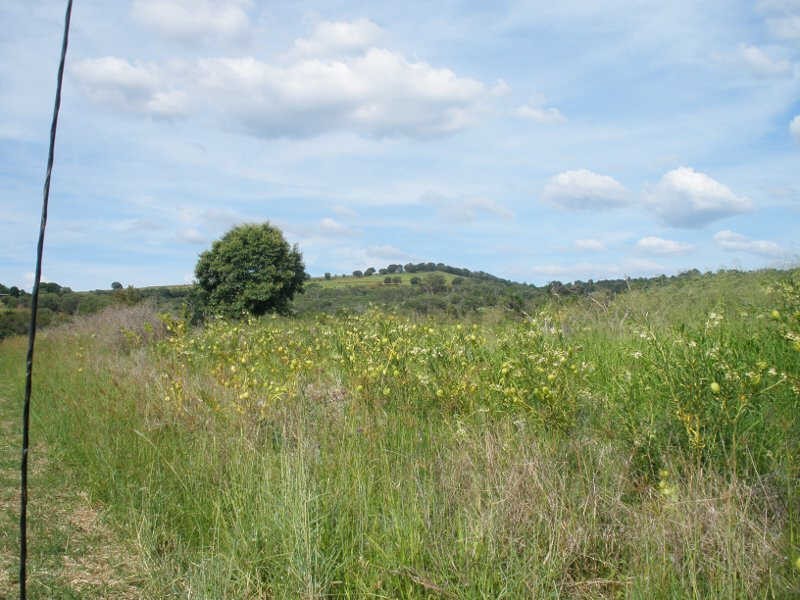 158 Eisenmengers Road, Merlwood QLD 4605