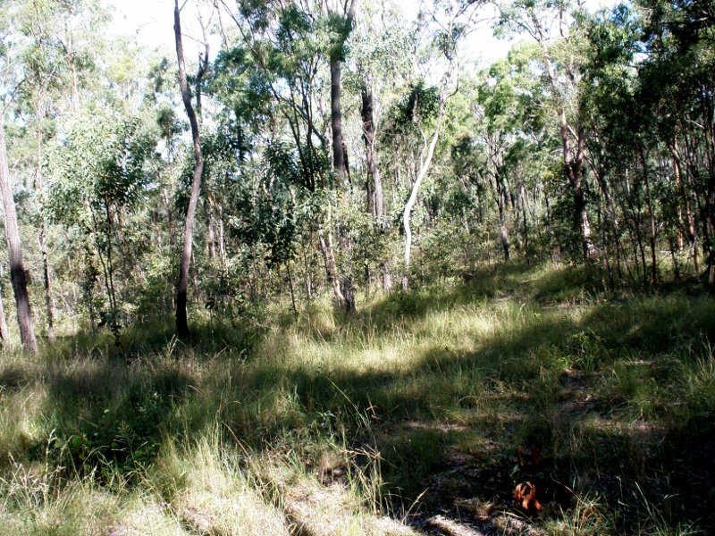 1461 Proston Boondooma Road, Coverty QLD 4613