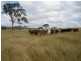 122 Goschnicks Road, Redgate QLD 4605