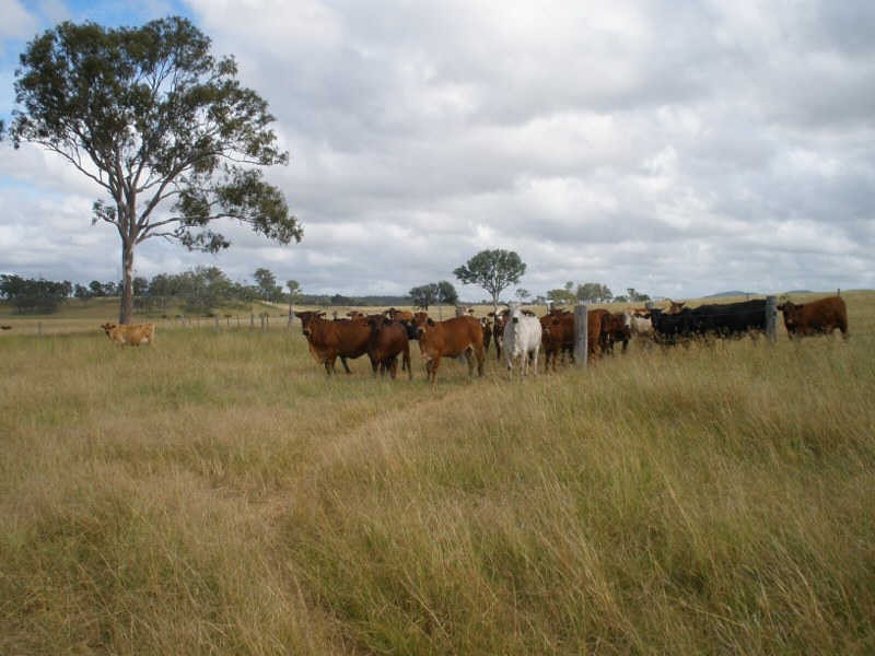 122 Goschnicks Road, Redgate QLD 4605