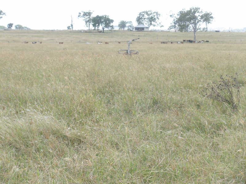 122 Goschnicks Road, Redgate QLD 4605