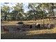 87 Giblin Road, Wilkesdale QLD 4608