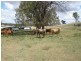 850 Morgans Road, Windera QLD 4605