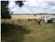 850 Morgans Road, Windera QLD 4605