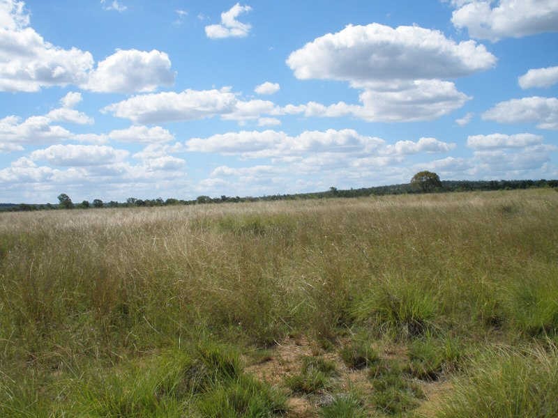 Lot 16 Chinchilla Wondai Road, Durong QLD 4610