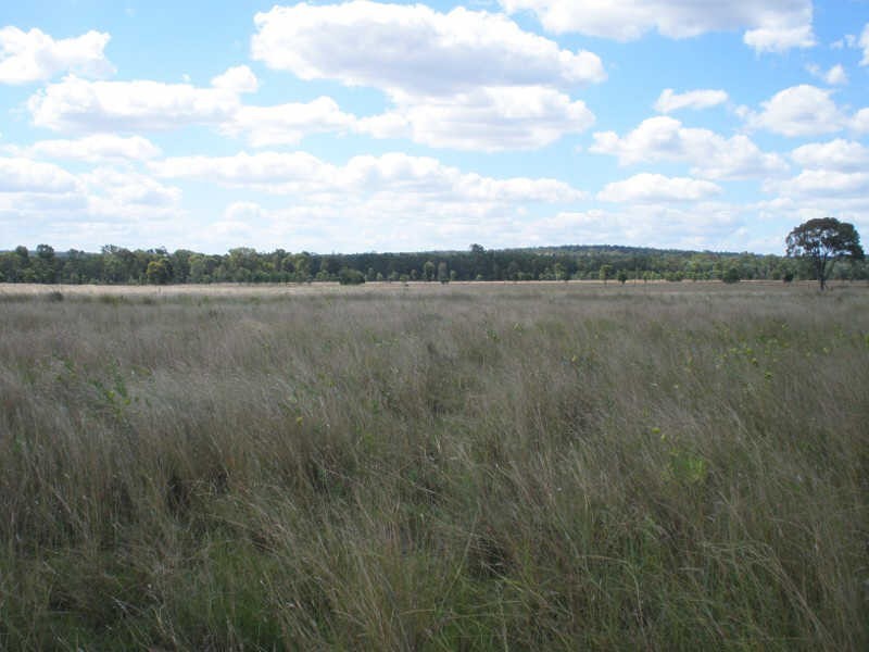 Lot 16 Chinchilla Wondai Road, Durong QLD 4610