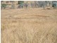 Lot 82 Burnett Highway, Barambah QLD 4601