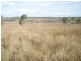 Lot 82 Burnett Highway, Barambah QLD 4601