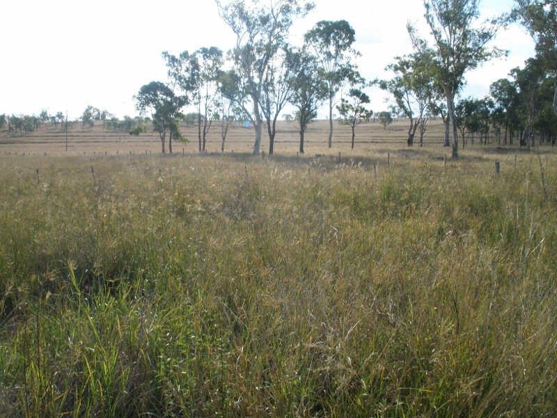 Lot 82 Burnett Highway, Barambah QLD 4601