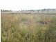 Lot 82 Burnett Highway, Barambah QLD 4601