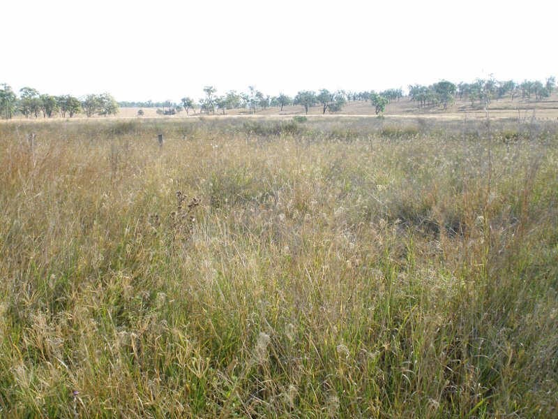 Lot 82 Burnett Highway, Barambah QLD 4601