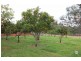 125 Reagon Road, Coolabunia QLD 4610