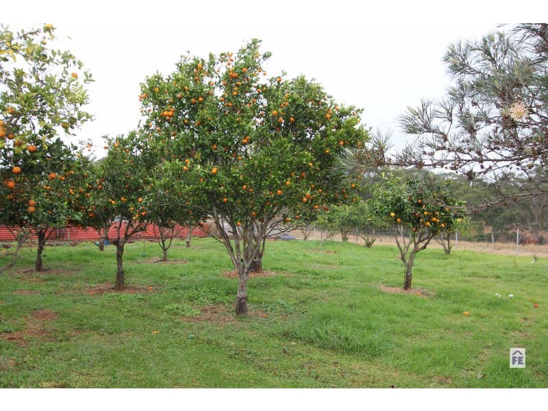 125 Reagon Road, Coolabunia QLD 4610