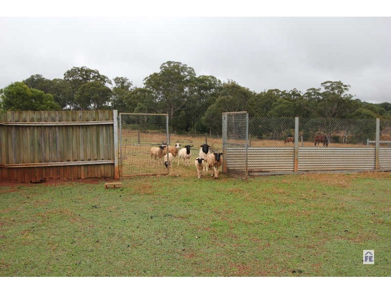 125 Reagon Road, Coolabunia QLD 4610