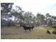 637 Weens Road, Gordonbrook QLD 4610