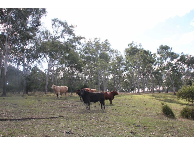 637 Weens Road, Gordonbrook QLD 4610