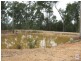 297 Mt Hope Road, Wattle Camp QLD 4615