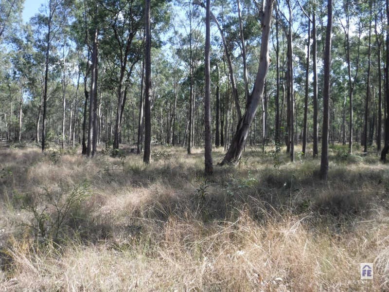 297 Mt Hope Road, Wattle Camp QLD 4615