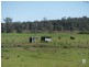 2646 Kingaroy Cooyar Road, Brooklands QLD 4615