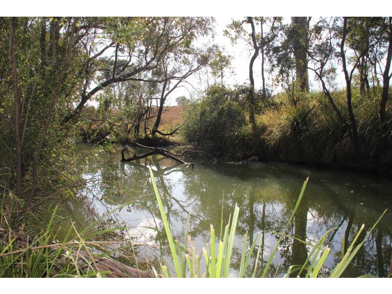 137 Birch Road, Wattle Camp QLD 4615