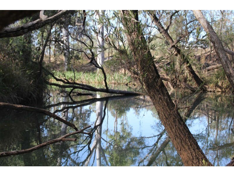 137 Birch Road, Wattle Camp QLD 4615