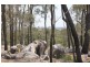 489 Nanango Brooklands Road, Nanango QLD 4615