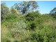 Lot 169 Parker Road, Ellesmere QLD 4610